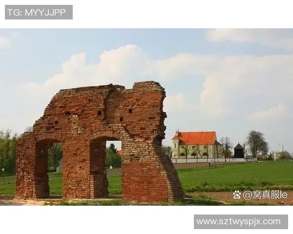 谢什科的传奇人生与文化影响探讨之旅